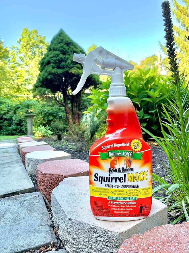 Nature’s MACE Squirrel Mace, Squirrel Repellent Spray, 40 Ounce Concentrate, Squirrel and Chipmunk Repellent, Keep Out of Garden, Attic, Fruit Trees, Plants, Potted Plants, Repel Squirrels