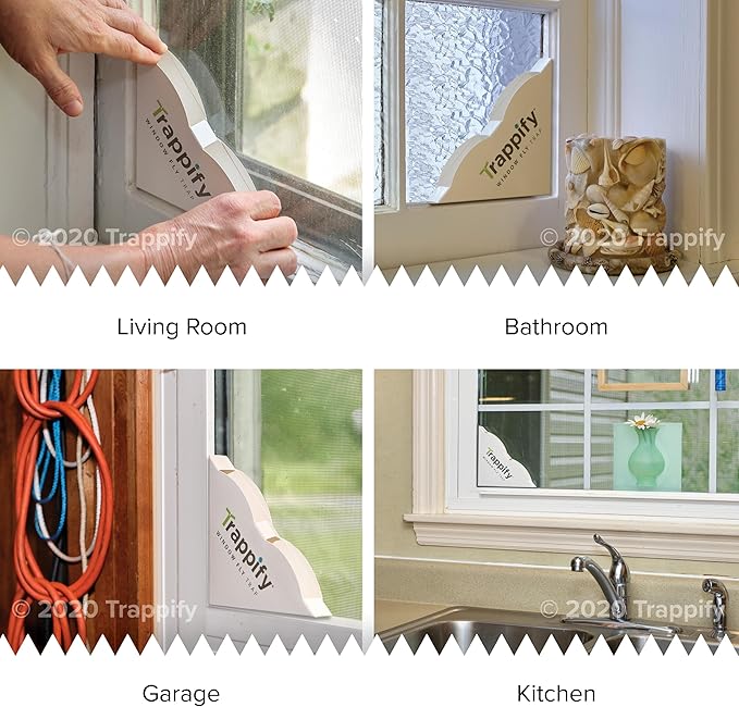 Trappify Fly Trap Indoor: Window Fly Traps for Home | Fruit Fly Traps for Indoors, Gnat Traps for House Indoor | Disposable Fly Trap with Sticky Adhesive Strips | Inside Bug Catchers (24 Pack)