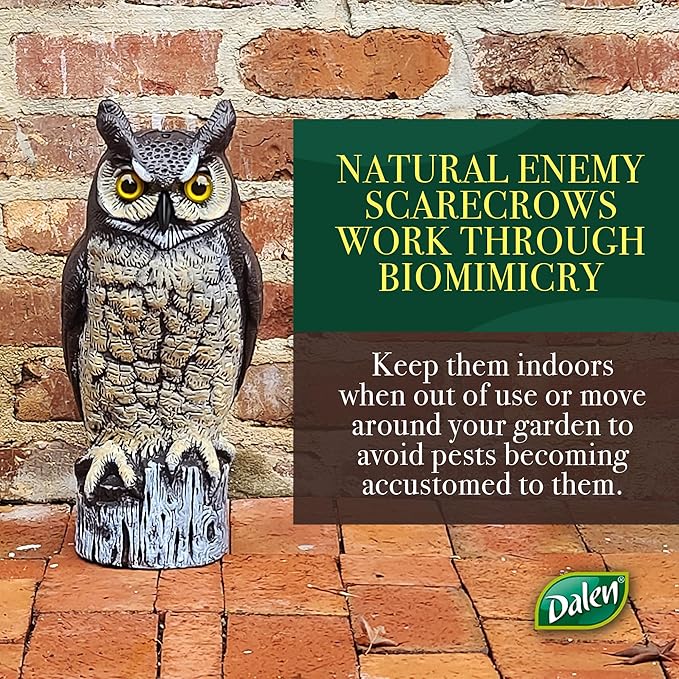 Dalen Large Fake Owl Decoy to Scare Birds Away - 16 in Hand-Painted Great Horned Owl Garden Scarecrow for Natural Pest Control - Fixed Head Design - Secure Upright by Filling with Sand/Gravel Only