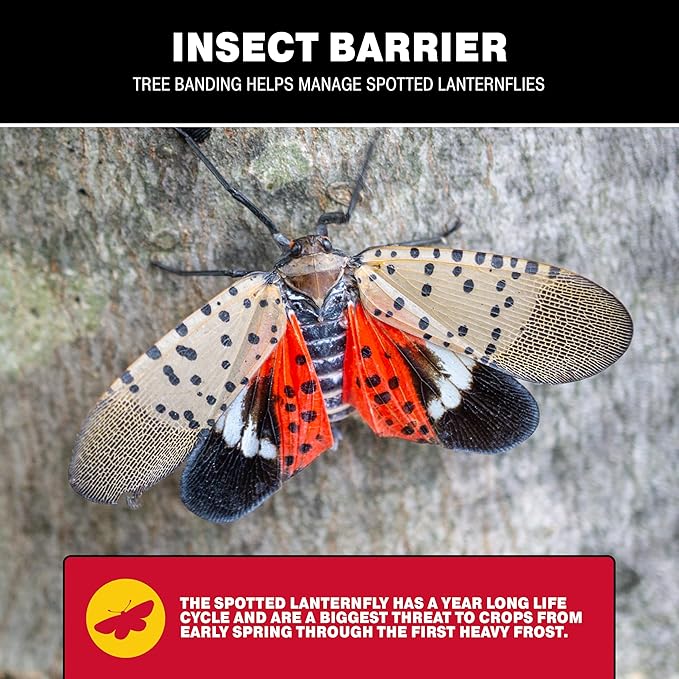 Catchmaster Tree Banding Insect Barrier DIY Kit 6Pk, 15oz. Pails and Spreader, Lanternfly & Ant Traps, Outdoor Adhesive Crawling Insect Trap, Glue Traps to Protect Trees, Fruit & Plants