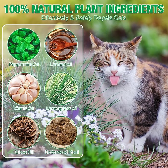 Cat Repellent Outdoor Indoor, 36 Pack Natural Peppermint Oil Cat Deterrent, Keep Cats Out of Yards, Plants, Gardens, Furniture from Cats and Dogs Educational Deterrents(Yellow)