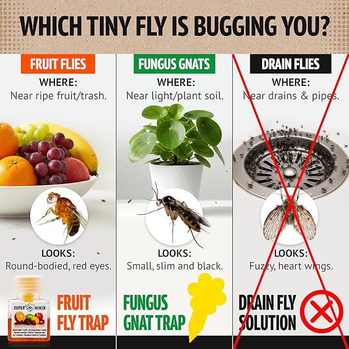 Super Ninja Fruit Fly Traps for Indoors - 6 Pack, Highly Effective Fruit Fly Catcher for Indoor Use for Home & Kitchen, Up to 3 Weeks of Performance per Bottle, Kid & Pet Friendly