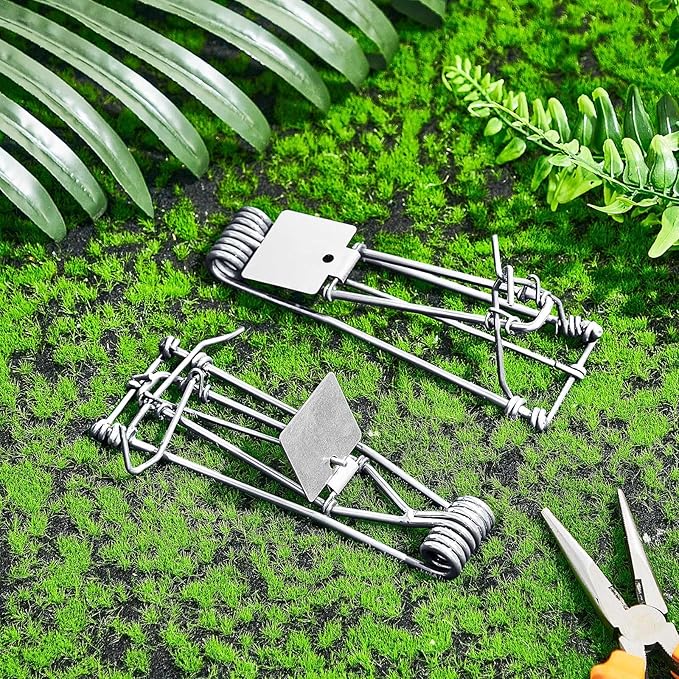 Qualirey 2 Pcs Outdoor Gopher Trap Easy Set Mole Trap Weather Resistant Gopher Killer Vole Killer for Lawn Garden Farm (Silver)