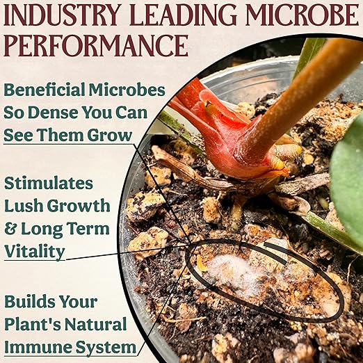 All-In-One Organic Succulent Fertilizer, Cactus Fertilizer, Succulent Plant Food, Bonsai & Cactus Food, 3 lb bag = 75 Single Servings, Fast & Slow Release feeds up to 300 plants for 8months