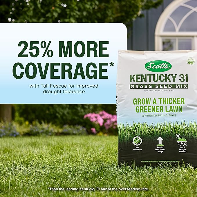 Scotts Kentucky 31 Grass Seed Mix for New Lawns or Overseeding, Grows Thicker and Greener vs. Other Kentucky 31 Mixes, Covers up to 10,000 sq. ft.