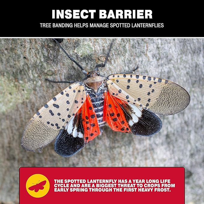 Catchmaster Tree Banding Insect Barrier DIY Kit 6Pk, 15oz. Pails and Spreader, Lanternfly & Ant Traps, Outdoor Adhesive Crawling Insect Trap, Glue Traps to Protect Trees, Fruit & Plants