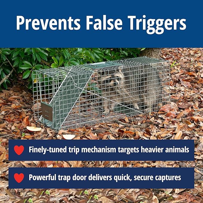 HAVAHART 1079SR Large 1-Door Humane Catch and Release Live Animal Trap Cage - Live Raccoon Trap, for Bobcats, Beavers, Dogs, & More