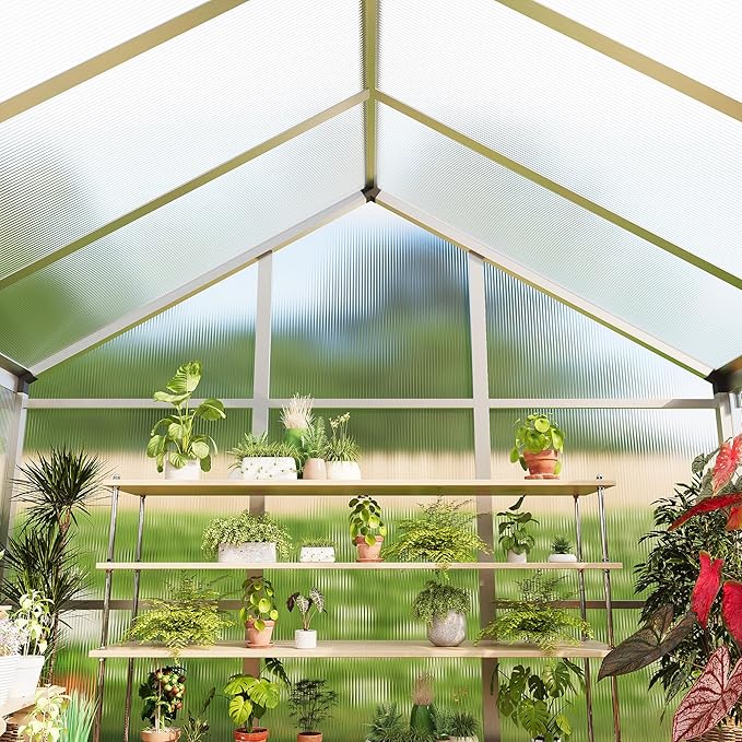 6x10 ft Greenhouse for Outdoors, Polycarbonate Greenhouse with Roof Vent, Ground Nails, Lockable Push Door, Aluminum Large Walk-in Green House for Outside Garden Backyard, Patio, Lawn, Silver