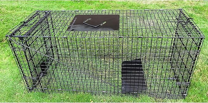 Humane Way Folding 42 Inch Live Humane Animal Trap - Safe Traps for All Animals - Dogs, Raccoons, Cats, Groundhogs, Opossums, Coyote, Bobcat - 42"x16"x18"