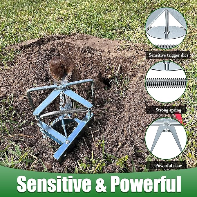 2 Pack Mole Traps That Kill Best, Vole Traps Outdoor Use Scissor for Lawns, Mole Trap Easy to Set Galvanized Steel Reusable Quick Capture Gopher
