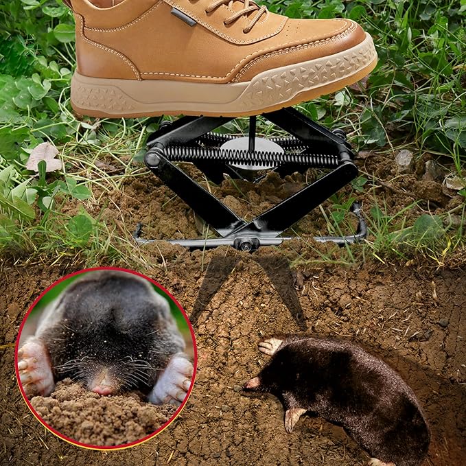 Mole Traps 2 Pack, Scissor Mole Trap That Kill Best，Mole Traps for Lawns Ground，Easy Step Mole Eliminator，Black Coated