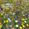 Ferry-Morse North American Mix Bulk Wildflower Seeds, 1lb
