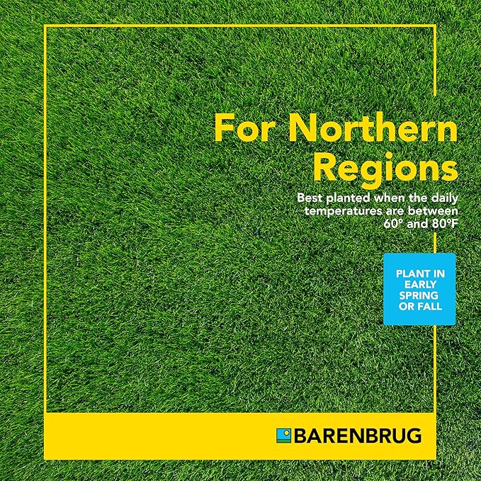 Barenbrug Wonderlawn Sun and Shade Grass Seed Mix for Lawn Care and Landscaping, 10 lbs. Bag